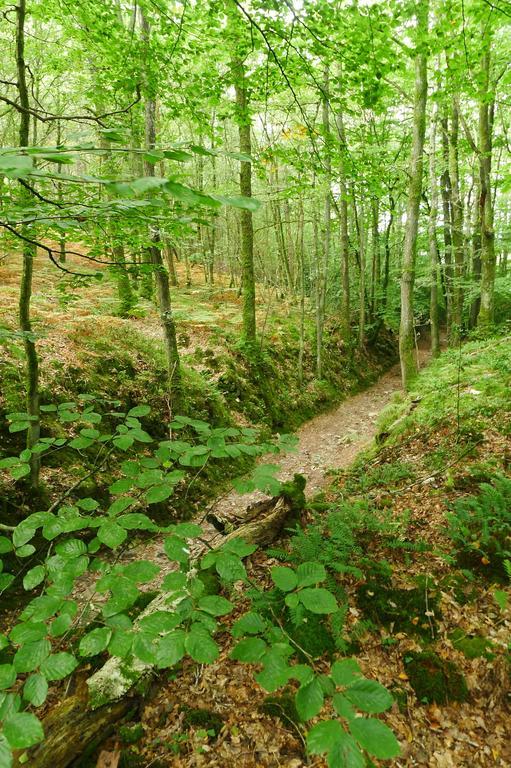 La Cage Aux Oiseaux Bed & Breakfast La Lande-de-Goult Dış mekan fotoğraf